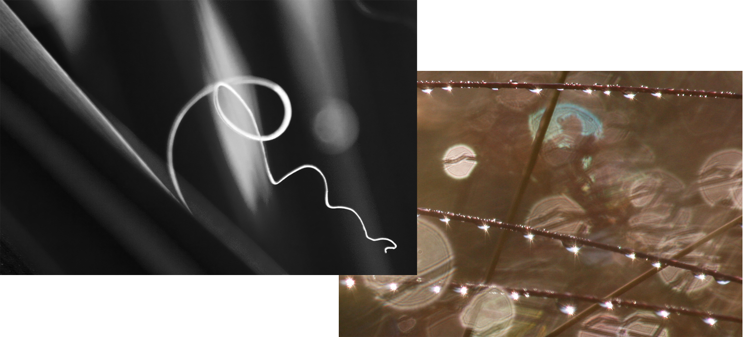 Momente Knut Haeberle