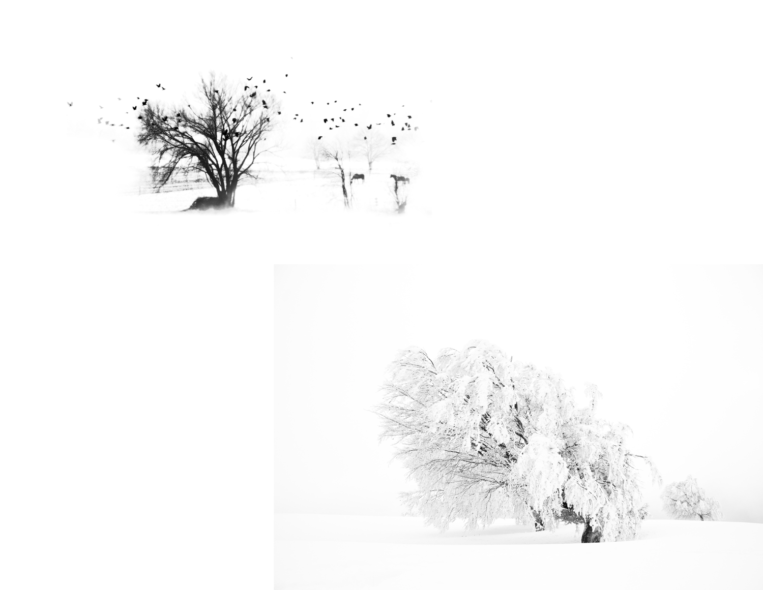 Reduziert Knut Haeberle